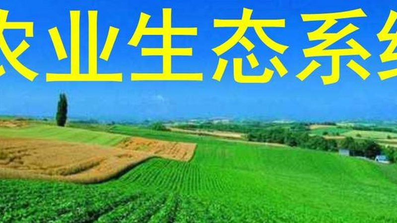 无土栽培，肥料配方如何精准施策？**