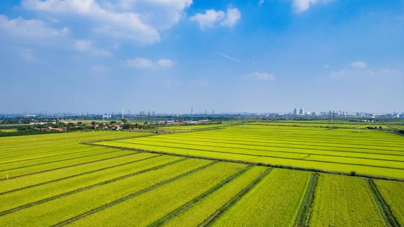 成都智慧农业灌溉系统：价格背后的技术考量