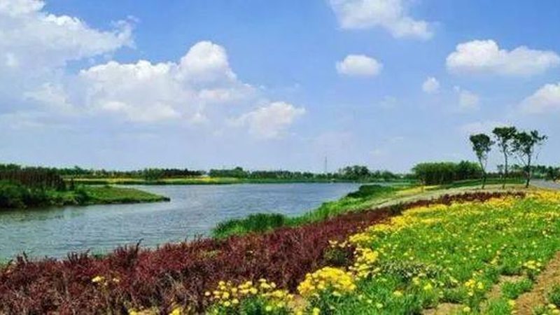 农产品线上线下融合：构建高效销售新生态
