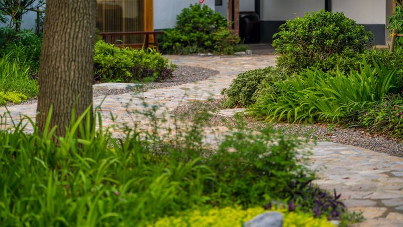 上海进口粮油批发渠道：价格背后的秘密与选择之道