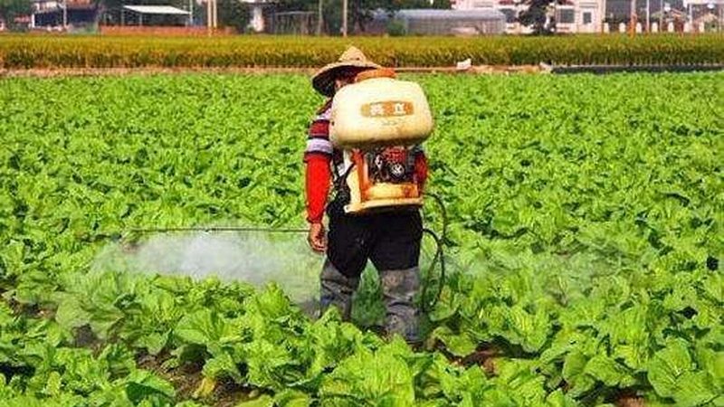 智能温室大棚：农业现代化的关键设施**