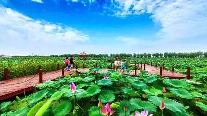 大棚保温被：如何选择优质产品，保障农业生产效率**