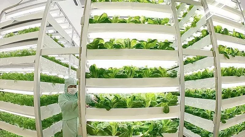 农业种植技术员证：门槛与价值解析**