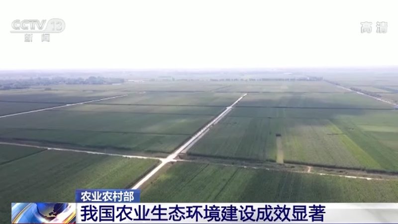 农产品批发代理：如何从利润分析中洞察行业机遇**
