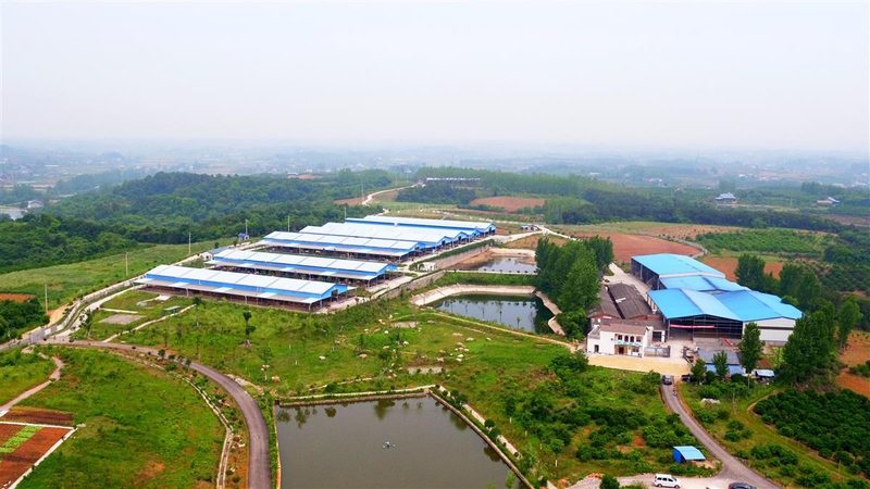 冬季温室种植温湿度调控关键点解析