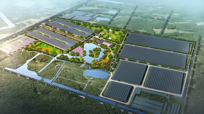 智能农业种植系统：引领现代农业发展的新引擎