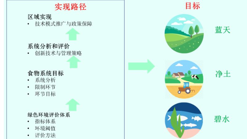 在选择休闲农业公司时，首先要明确排名的标准。以下是一些常见的排名标准：