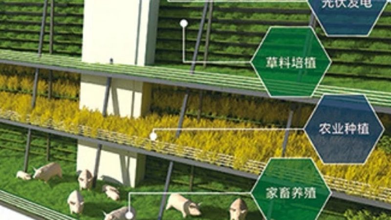 果蔬配送车车厢门开启方式的奥秘